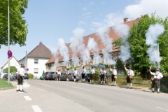033B3613_SALUT