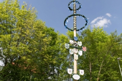 033B3619