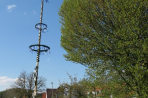 Maibaumfeier