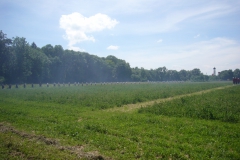 P1060981