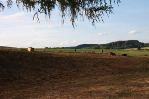 Sonnwendfeier 2014