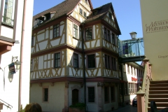 DSC02247